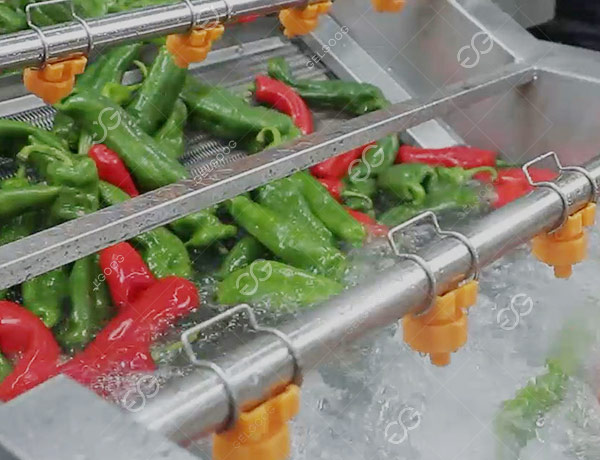 vegetable-washing-drying-line-solution2.jpg