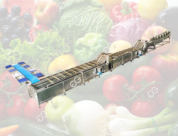 vegetable-washing-drying-line-solution1.jpg