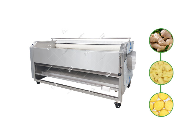 ginger-cleaning-and-peeling-machine03.jpg