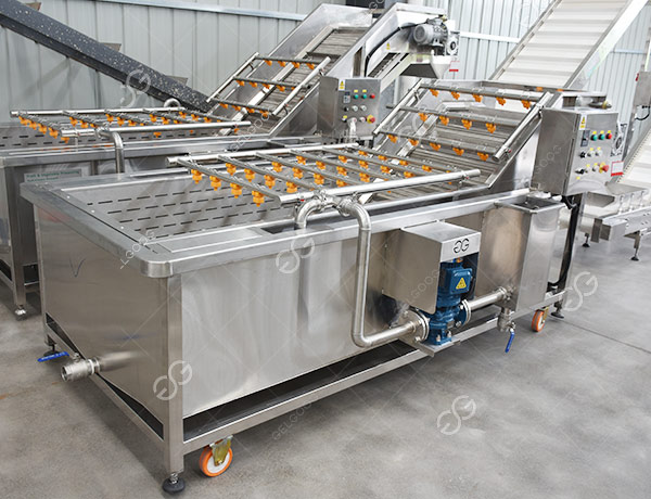 leafy vegetable washing machine
