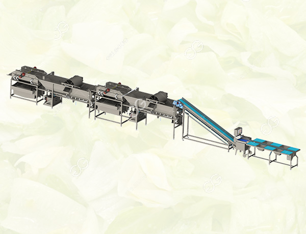 leafy vegetable washing drying cutting production line