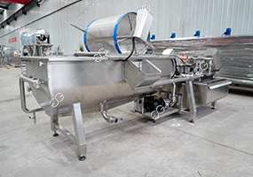 vegetable-washing-machine2.jpg