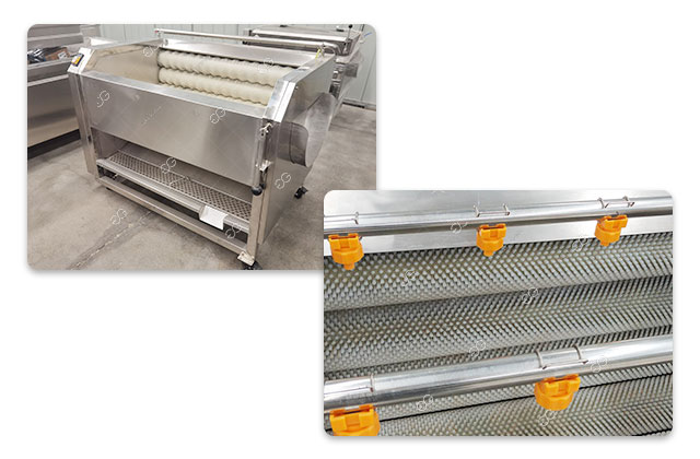 radish washing and peeling machine