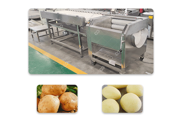 potato cleaning machine