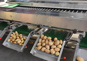 vegetable-grading-machine.jpg