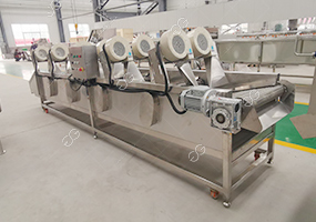 vegetable-drying-machine.jpg