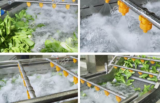 How Does The Factory Wash Vegetables