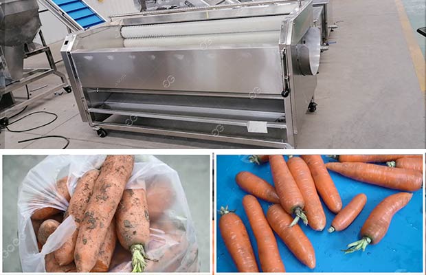 What Machine Is Used in the Factory to Clean Carrots?