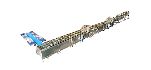 Vegetable-Washing-Drying-Production-Line-Industrial-Use.png