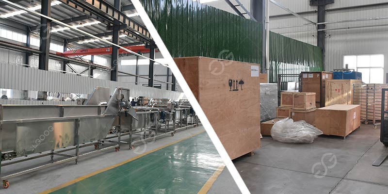 Salad Vegetable Washing Processing Project Delivery