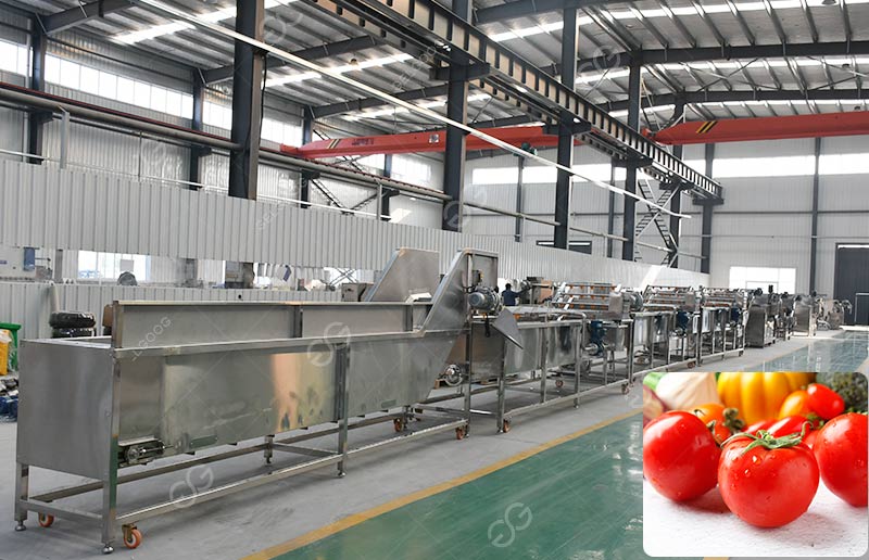 How to Clean and Process Tomatoes in Food Factories?