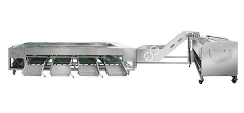 Fresh-Root-Vegetable-Grading-and-Washing-Production-Line.png