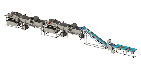 Green-Leafy-Vegetable-Washing-Drying-Cutting-Production-Line.png