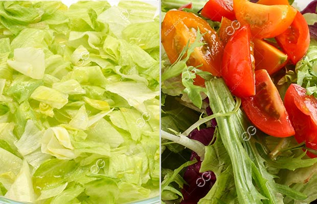 Salad Vegetable Washing Processing Project Delivery-India