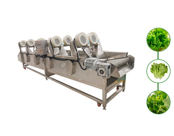 lettuce-air-drying-machine1.jpg