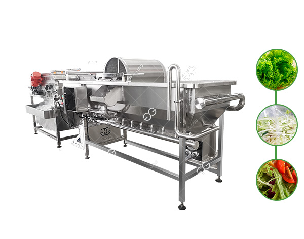 vegetable cleaning machine