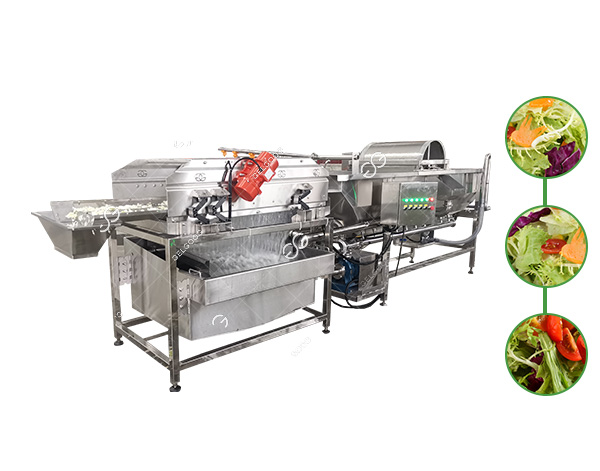 salad-washing-machine2.jpg