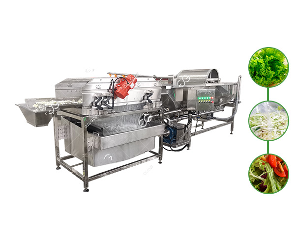 vegetable cleaning machine