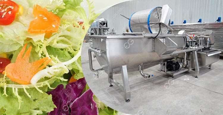 salad washing machine