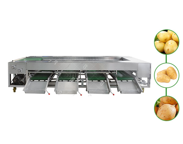 potato-grading-equipment1.jpg