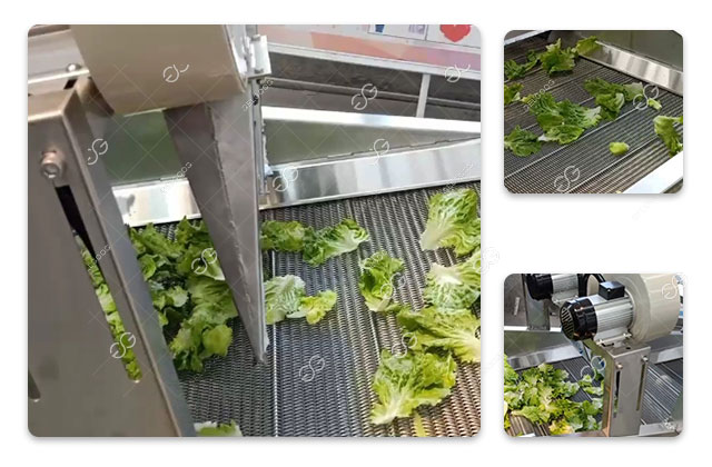 lettuce air drying machine