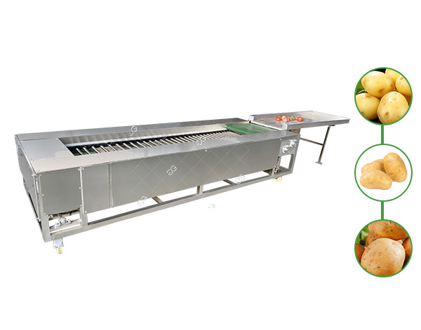 potato grading equipment