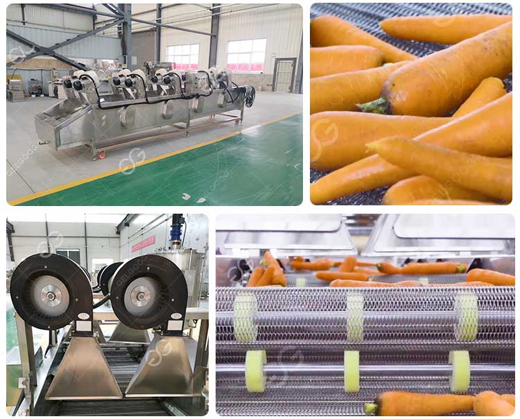 carrot air drying machine