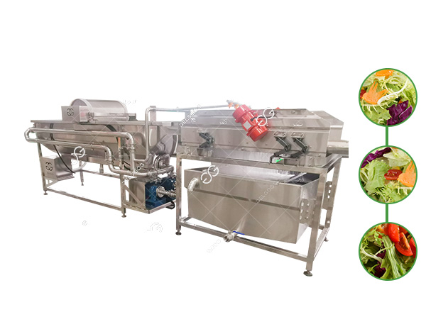 salad washing machine