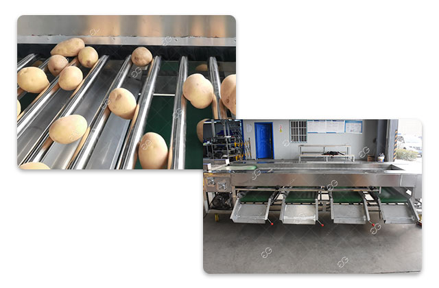 potato grading equipment
