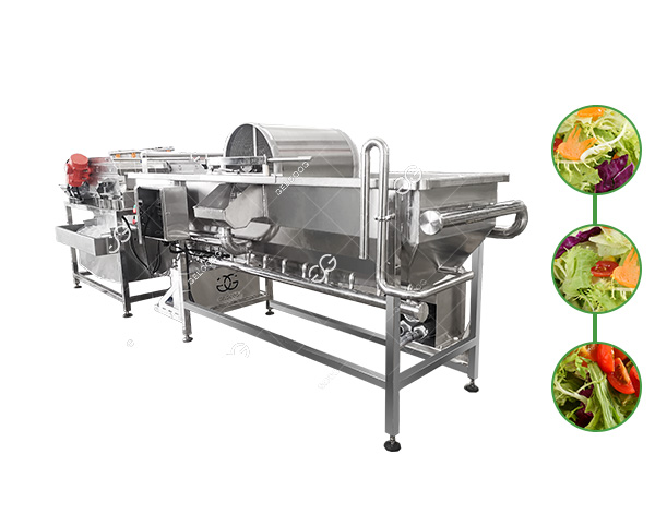 salad washing machine