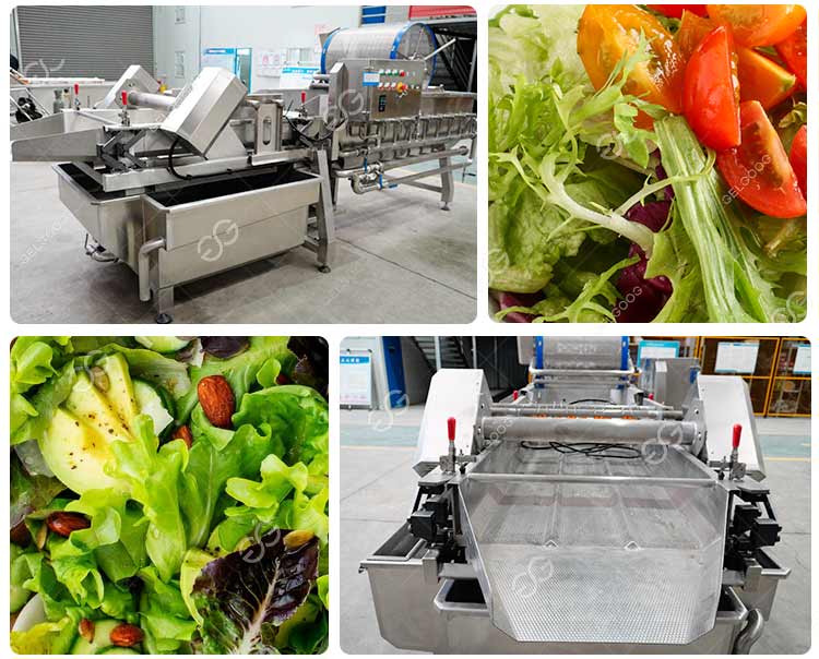 salad washing machine
