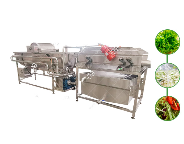 vegetable cleaning machine