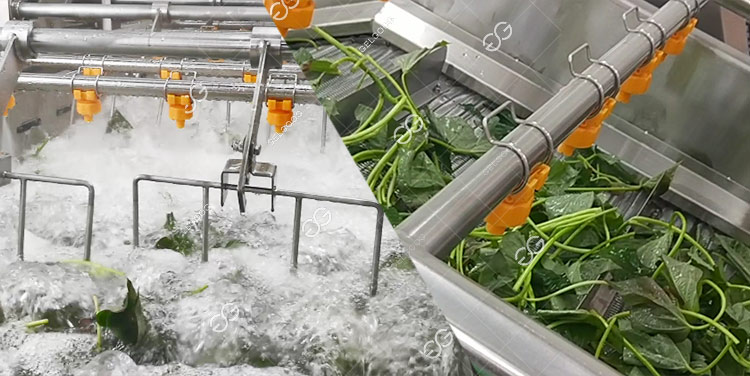 leafy vegetable fork cleaning machine