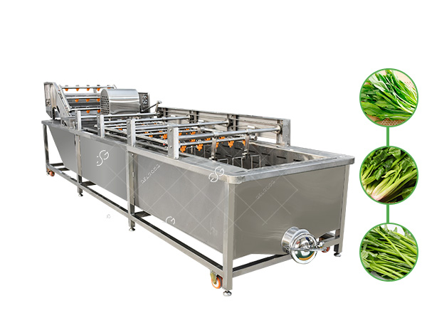 leafy vegetable fork cleaning machine