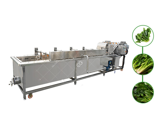 spinach washing machinery