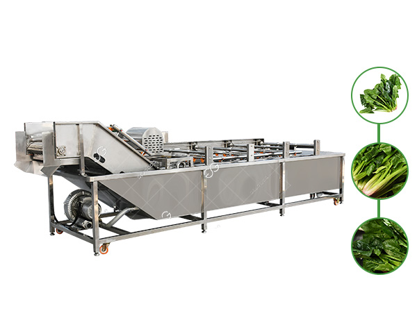 spinach washing machinery