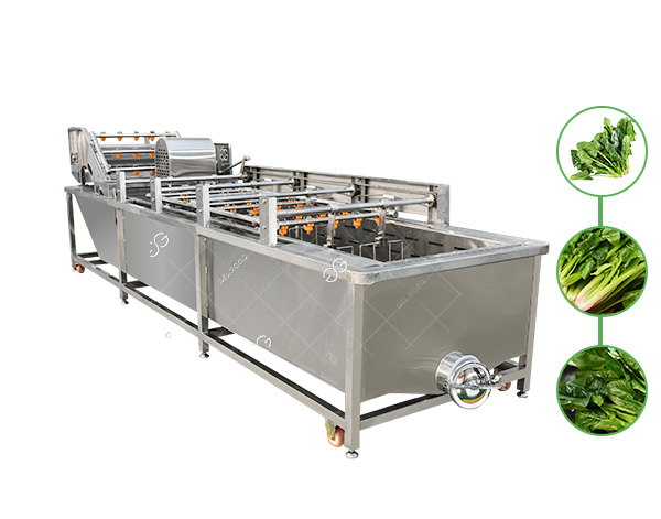 spinach-washing-machinery1.jpg