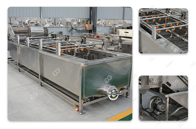washing spinach machinery