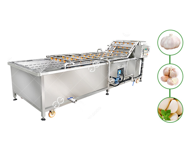 peeled garlic clove cleaning equipment