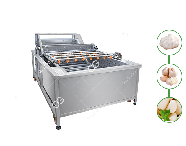 peeled-garlic-clove-cleaning-equipment2.jpg