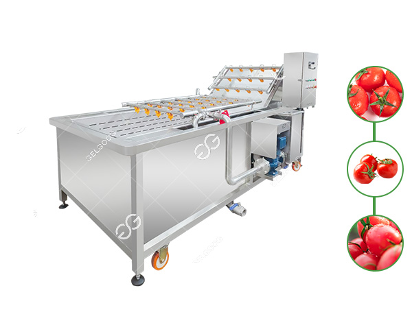 tomato cleaning machine