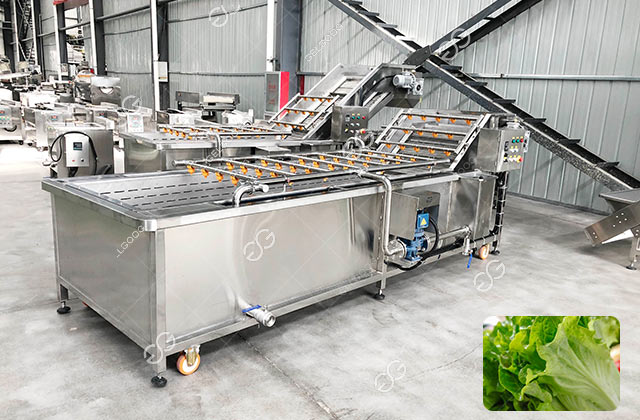 lettuce washing machine