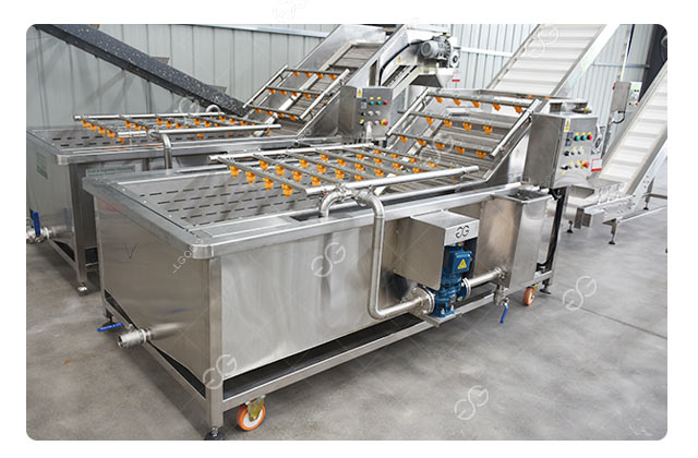 tomato cleaning machine