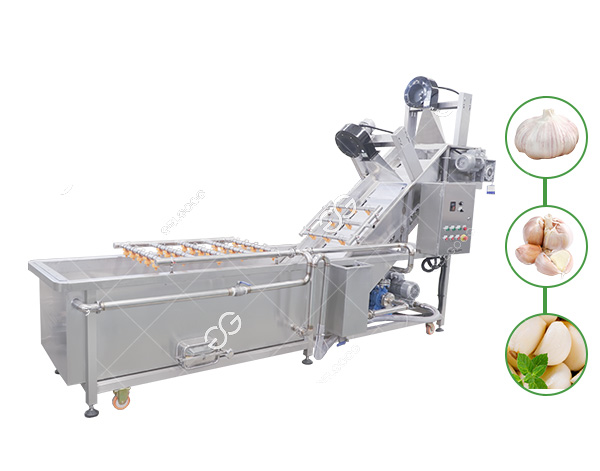 peeled garlic clove cleaning equipment