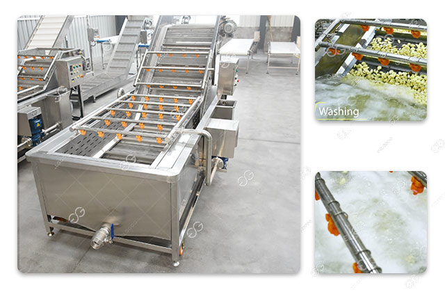 peeled garlic clove cleaning equipment