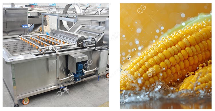 corn washing machine