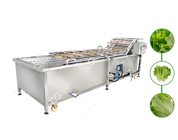 lettuce washing machine
