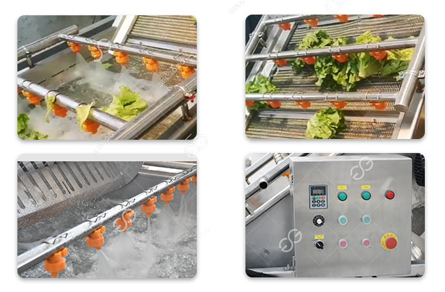 lettuce washing machine