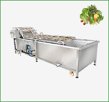 Vegetable Washing Machine