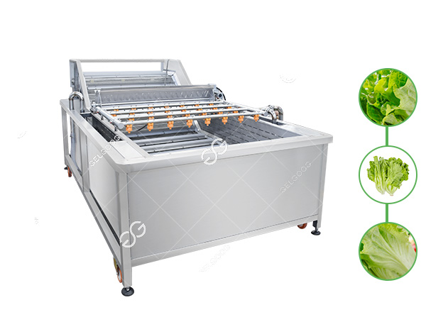 lettuce washing machine